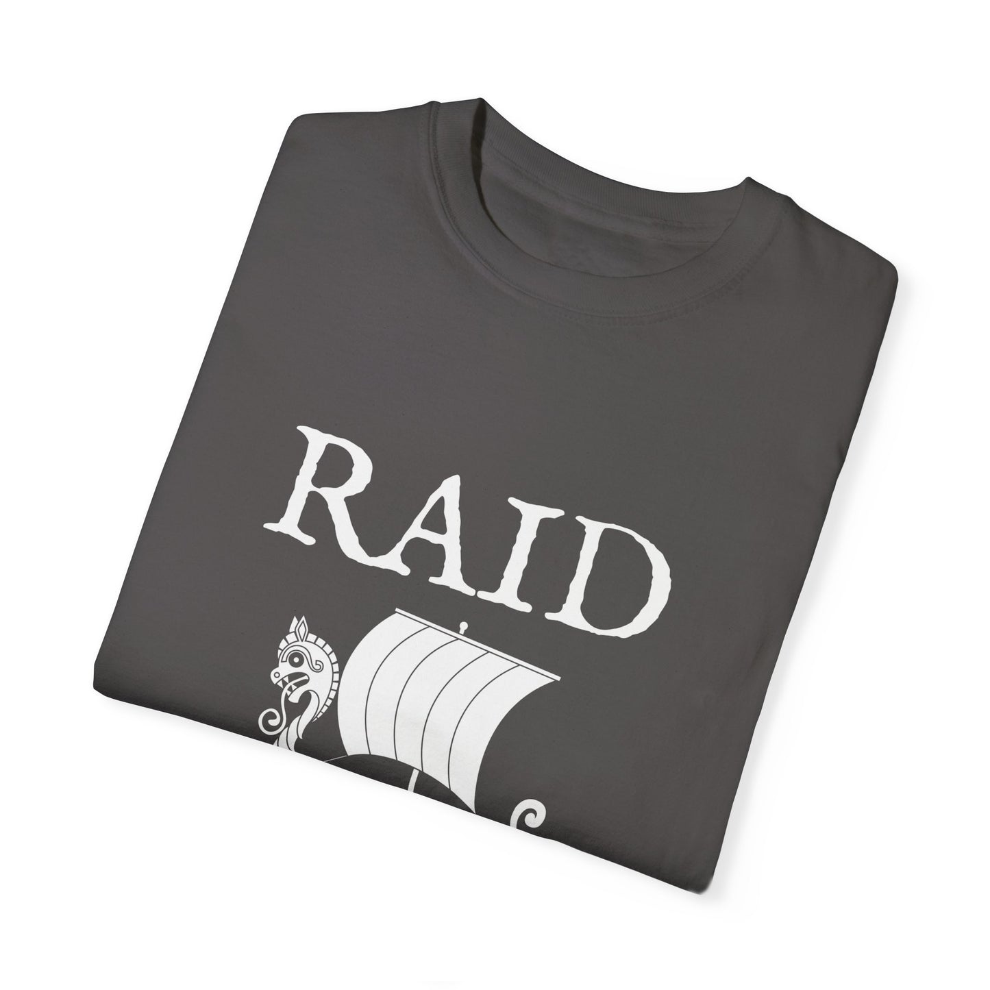 RAID THE RICH T-Shirt